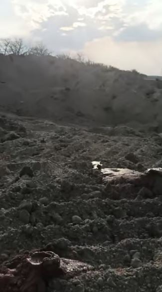 massengräber rinder