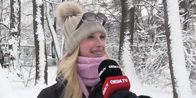 massier wintereinbruch.png