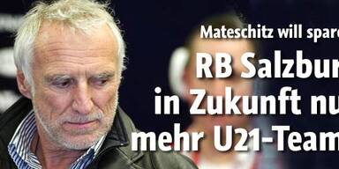 Bullen in Zukunft nur mehr 