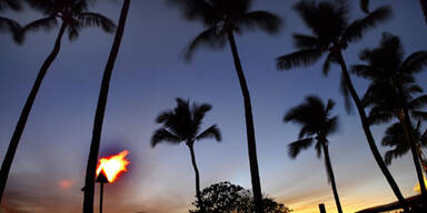 Maui ist die schönste Insel der Welt