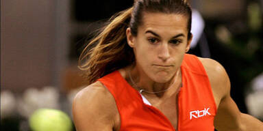 mauresmo gepa
