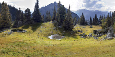 Urlaubergruppe pr&uuml;gelt Tiroler Hirten nieder