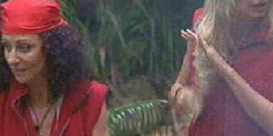 Tränen bei Mausi nach Horrornacht