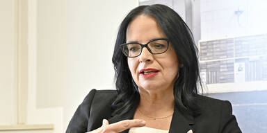 Gr&uuml;ne schenken der 'Krone' 3,8 Millionen