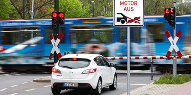 Durststopper mit Biss