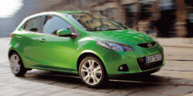 Fliegengewicht im Großstadt-Dschungel