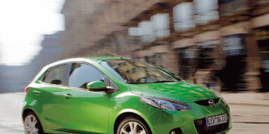 Fliegengewicht im Großstadt-Dschungel