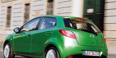 Fliegengewicht im Großstadt-Dschungel