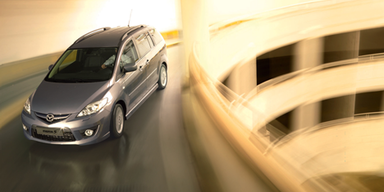 Überblick über die beliebtesten heimischen Vans