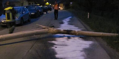 Auto kracht gegen umgesägten Maibaum