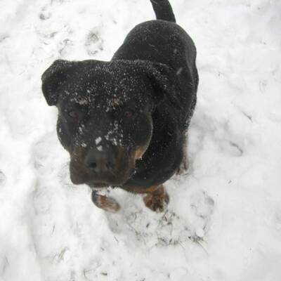 Schneelandschaft bei St. Veit an der Glan