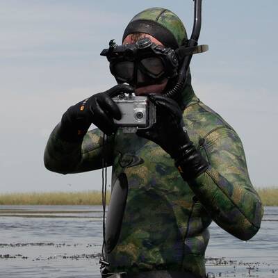 Der Präsident und der Regierungschef demonstrieren Einigikeit