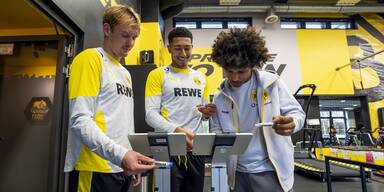 N&Ouml; Unternehmen arbeitet mit deutschem Bundesligisten BVB zusammen