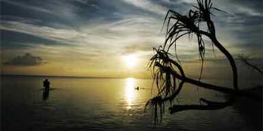meer