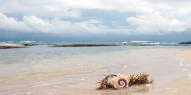 meer_strand_sxc