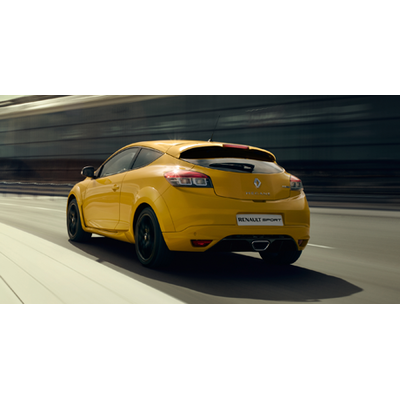 Französiches Sportcoupé im Renntrimm