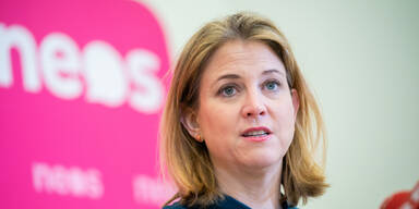 NEOS bekommen DIESE zwei Ministerien