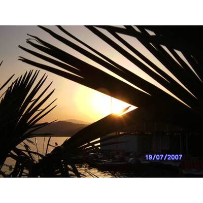 Die neuesten Urlaubsfotos