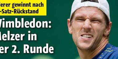 Melzer nach Vier-Satz-Sieg weiter
