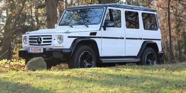 Mercedes G-Klasse 350 d im Test