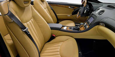Erste Bilder des Mercedes SL Cabrio