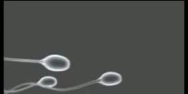 Mercedes: Spermien