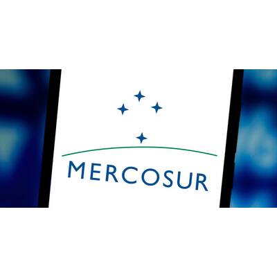 Der große oe24-Jahresrückblick 