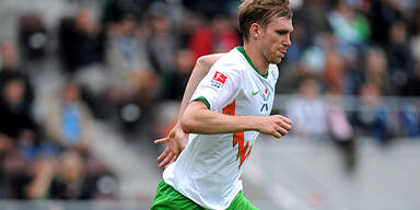 Arsenal holt Mertesacker von Werder