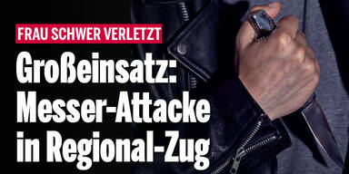 Großeinsatz: Messer-Attacke in Regional-Zug