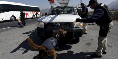Dummer Schreibfehler führt zu Festnahme