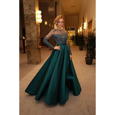 Die Stars beim Opernball 2016