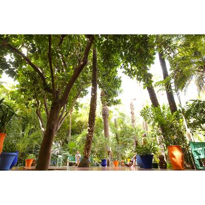 VIP-Trip nach Marokko 