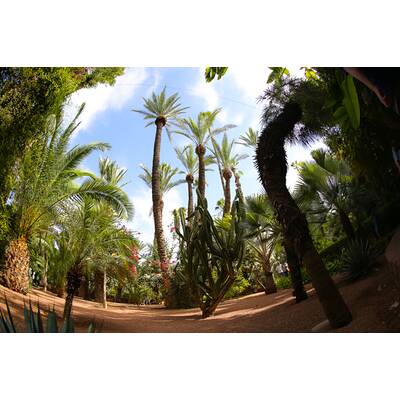 VIP-Trip nach Marokko 