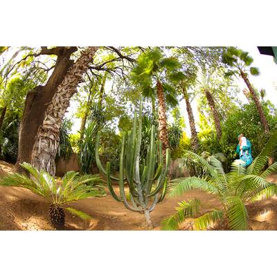 VIP-Trip nach Marokko 