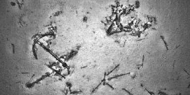 Bei Suche nach MH370 Schiffswrack gefunden