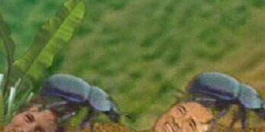 Mausi zieht für die Quoten alle Register