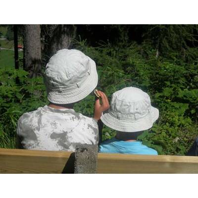 Die neuesten Urlaubsfotos