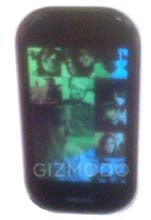 microsoft_turtel1 Kopie