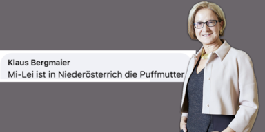 mikl leitner puffmutter-post