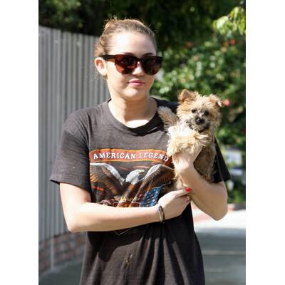 So sehen die Stars beim Gassigehen aus