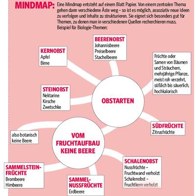 Kreativ zum Lernerfolg