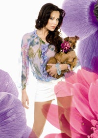 mini1 TV-Ladys im sexy Mini