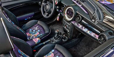 Das ist der Life Ball-Mini 2012