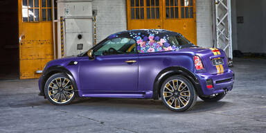 Das ist der Life Ball-Mini 2012