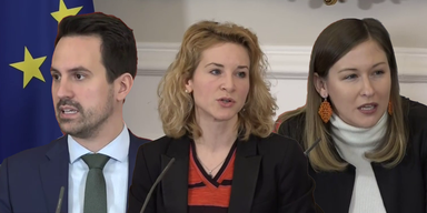 ministerrat gewlt gegen fruen.png