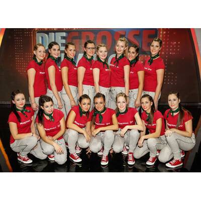 Große Chance: Die Kandidaten im letzten Halbfinale