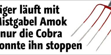 Leobener attackiert Taxler mit Mistgabel