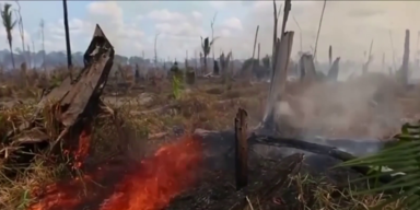 Brand
