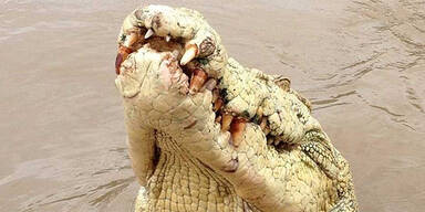 "Michael Jackson" tötet Fischer (57)