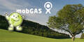 mobgas